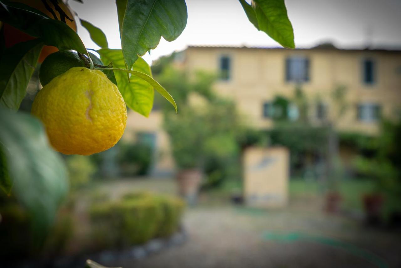 Villa Ape Rosa Relais Firenze Eksteriør bilde